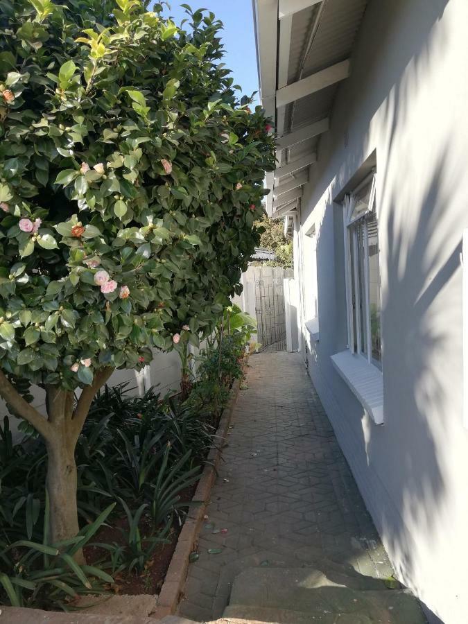 Willow Guest House Boksburg Eksteriør billede